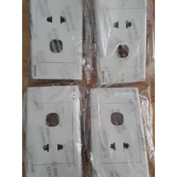 16A 2 PIN SINGLE SOCKET W/1 GANG